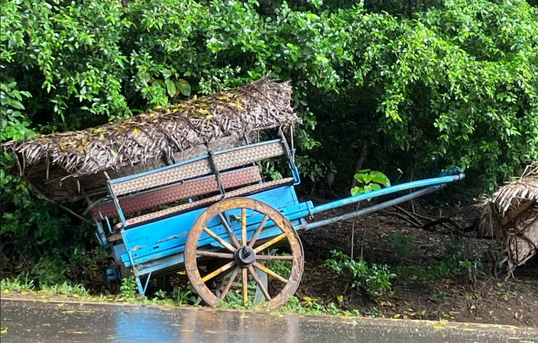 Habarana Village Tour