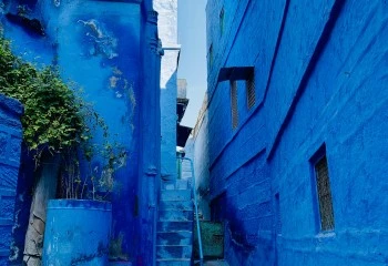 Heritage Walk of Jodhpur