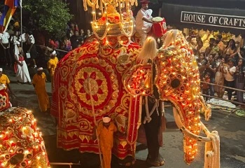 Witness the Kandy Perahera