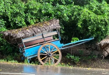 Habarana Village Tour