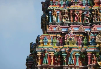 Kerala and Tamilnadu Tour