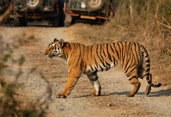 Golden Triangle Tour with Corbett