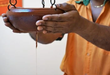 Kerala Wellness Retreat